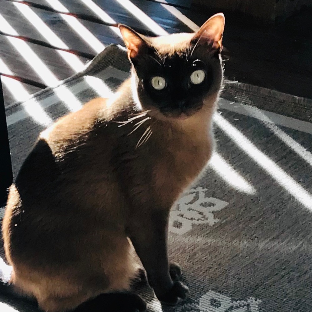 Mico Posing
